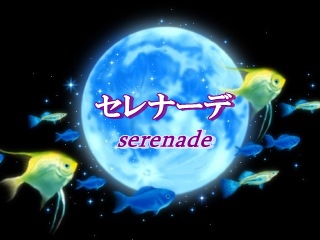 セレナーデ