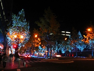 イルミネーション